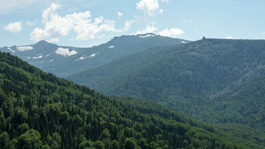 Тигирекский хребет, на Листвяжной гриве.