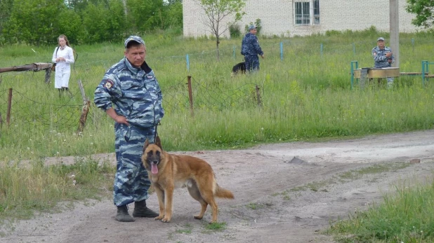 Соревнования лучших специалистов-кинологов органов и подразделений внутренних дел Алтайского края.