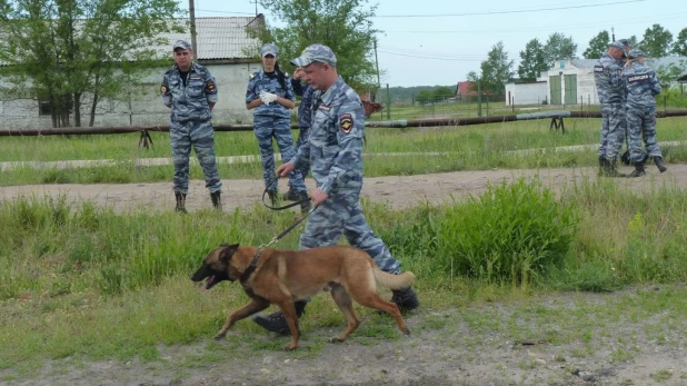 Соревнования лучших специалистов-кинологов органов и подразделений внутренних дел Алтайского края.