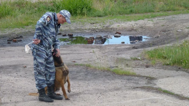 Соревнования лучших специалистов-кинологов органов и подразделений внутренних дел Алтайского края.