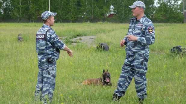 Соревнования лучших специалистов-кинологов органов и подразделений внутренних дел Алтайского края.