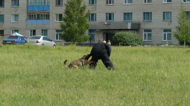 Соревнования лучших специалистов-кинологов органов и подразделений внутренних дел Алтайского края.