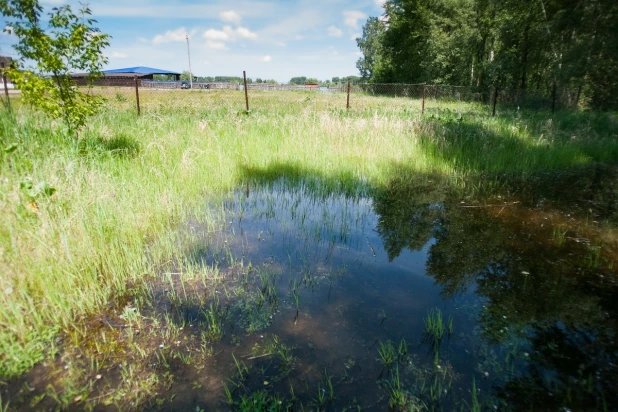 В Барнауле затопило пляж "Водный мир".