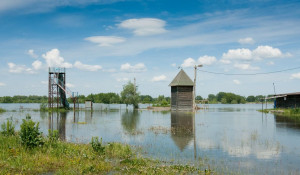 В Барнауле затопило пляж "Водный мир".