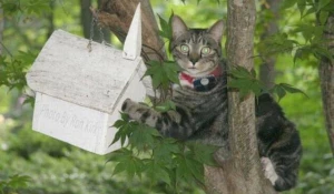 Упс, тебя поймали с поличным.