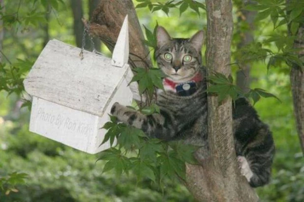 Упс, тебя поймали с поличным.