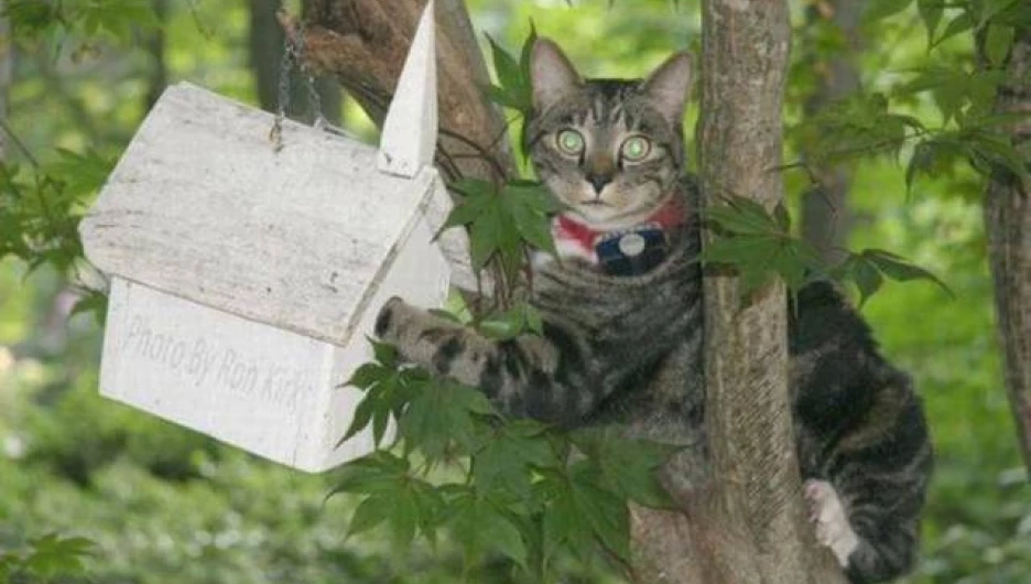 Упс, тебя поймали с поличным.