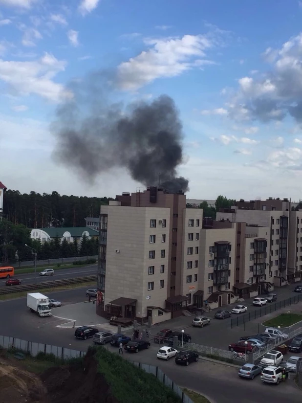 В Барнауле с горела конюшня. 18 июня 2016 год.