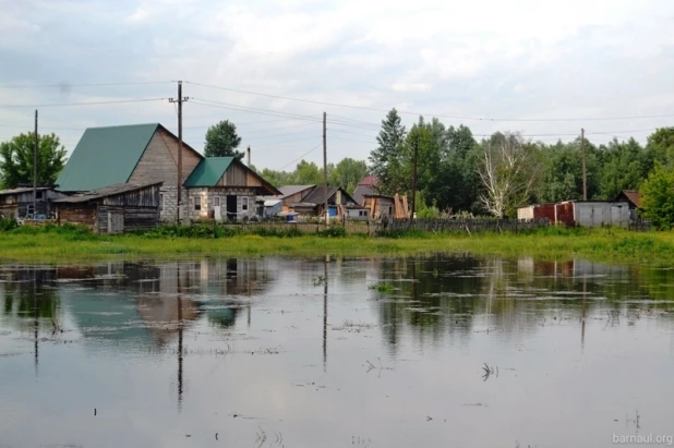 Паводок в Затоне. 2016 год.