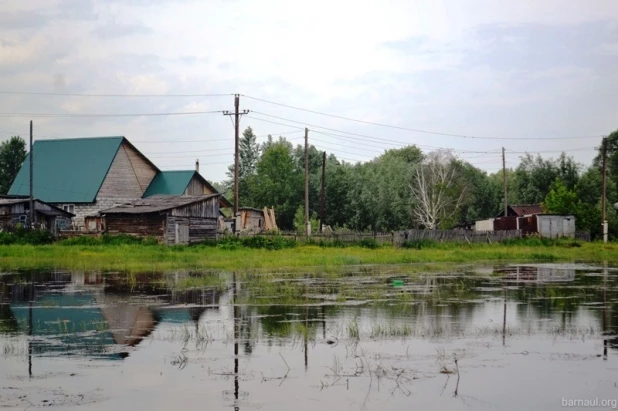 Паводок в Затоне. 2016 год.