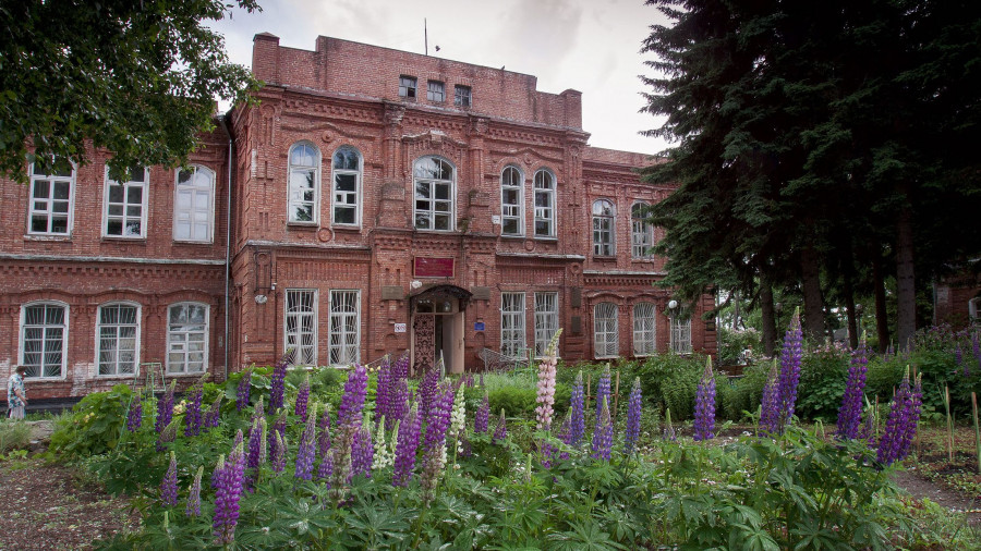 Николаевская гимназия.