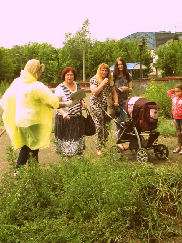 Субботник в парке Победы 18 июня 2015 год.