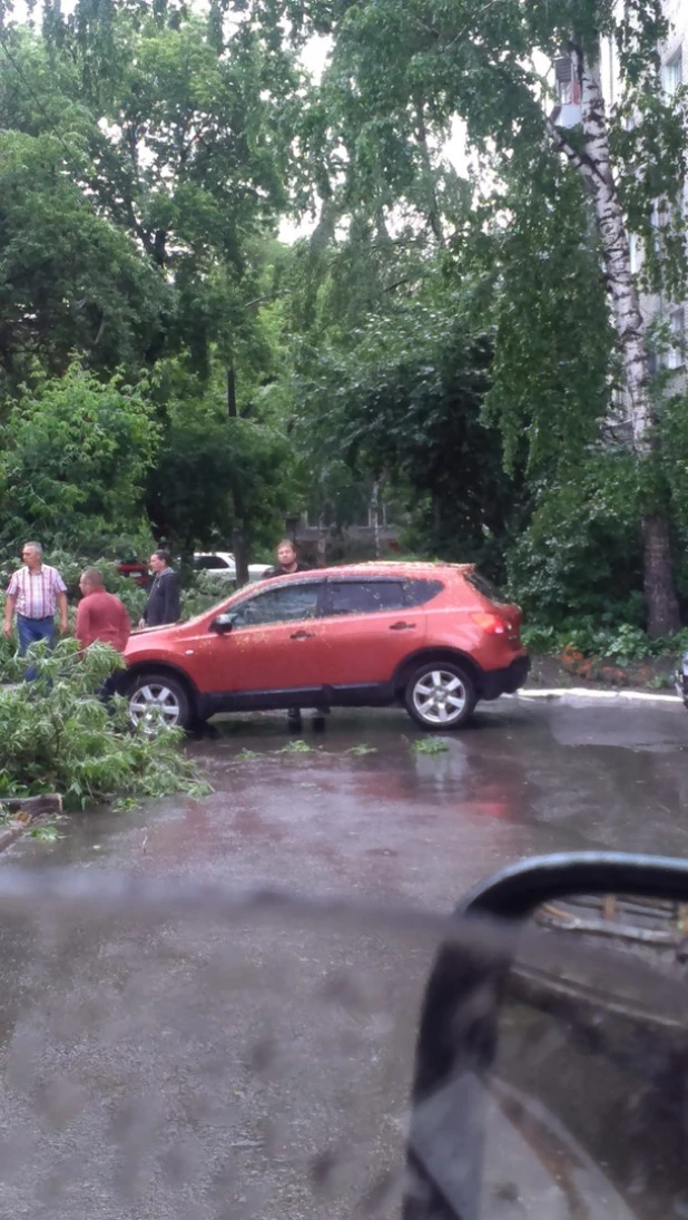 Дерево упало во дворе на ул. Чкалова.