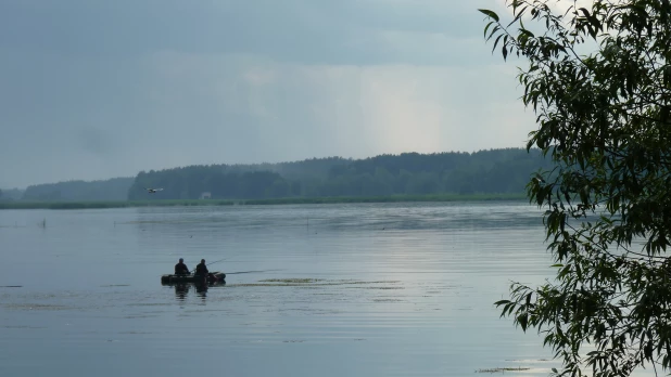 Пляж на Павловском водохранилище