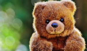 Конкурс "МедведьБарнаул": покажи, какой ты художник, и выиграй 3 тысячи.