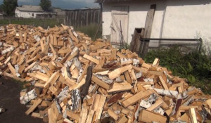 Черный лесоруб срубил на дрова 21 березу в Каменском районе.