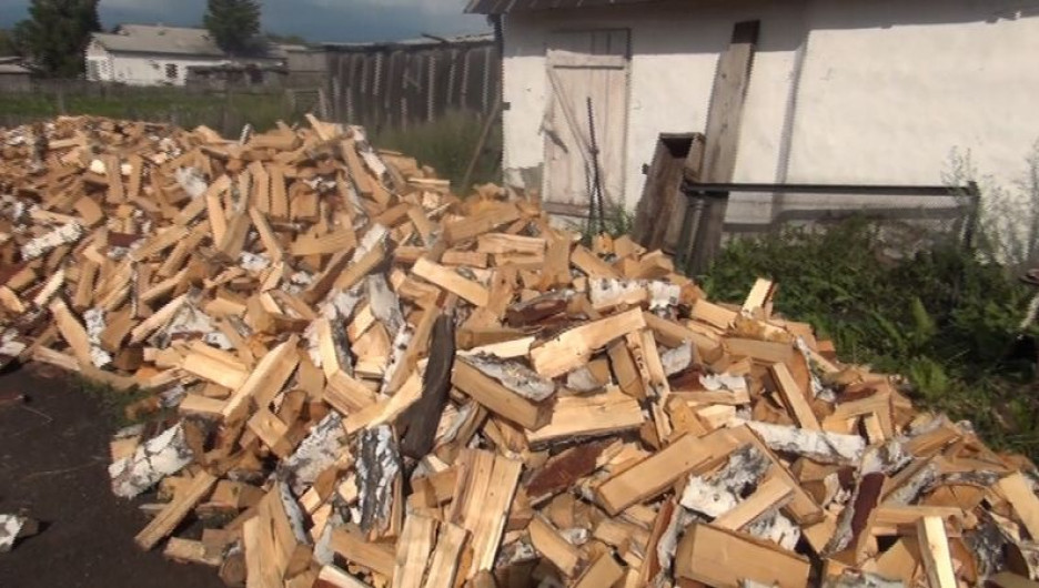 Черный лесоруб срубил на дрова 21 березу в Каменском районе.