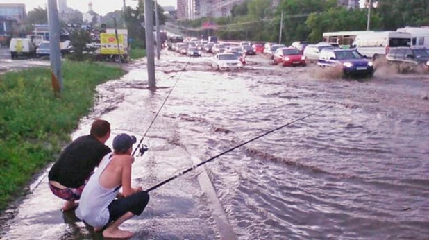 Удачно сделанный кадр.