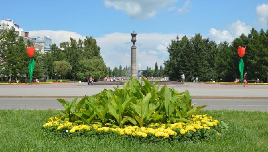 Тюльпаны на площади Советов