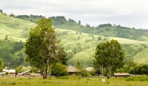 В деревне.