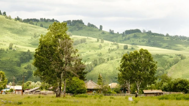 В деревне.