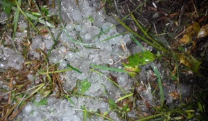 Град в Барнауле.