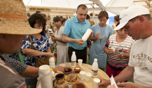  Посетители "Всероссийского дня поля" попробовали элитные сыры и "крафтовое" молоко.