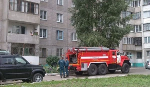 В барнаульской многоэтажке загорелась квартира.