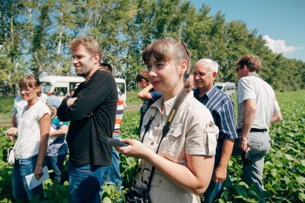 На Алтае планируют в разы увеличить посевы высокопротеиновой сои.