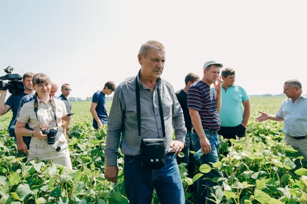 На Алтае планируют в разы увеличить посевы высокопротеиновой сои.