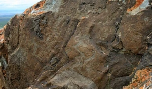 Петроглифы в районе алтайского села Кокоря.