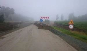 Трасса в Шелаболихинском районе.