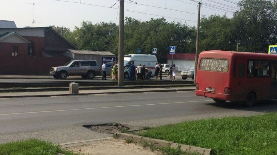 Зебра во владимире новости владимира и владимирской