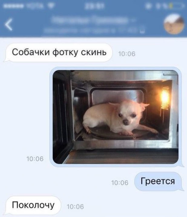 Зверский снимок.