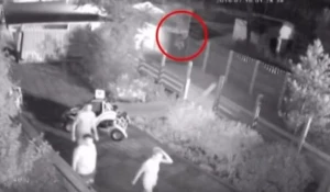 Депутаты убегают от полиции. Ачинск, 16 июля.