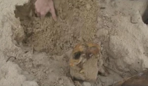 Кости на Булыгинском кладбище.