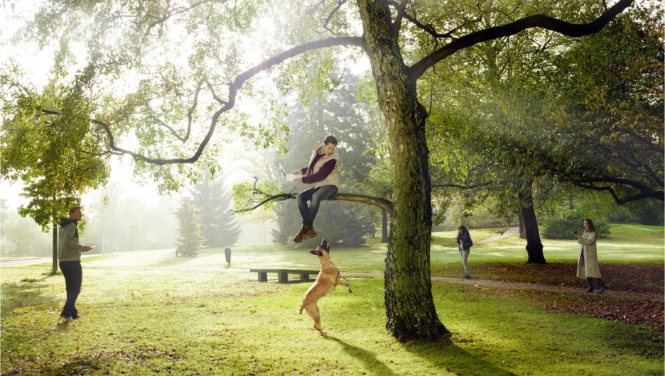 В "Парке спорта" теперь работает бесплатный Wi-Fi от "Дом.ru Бизнес"