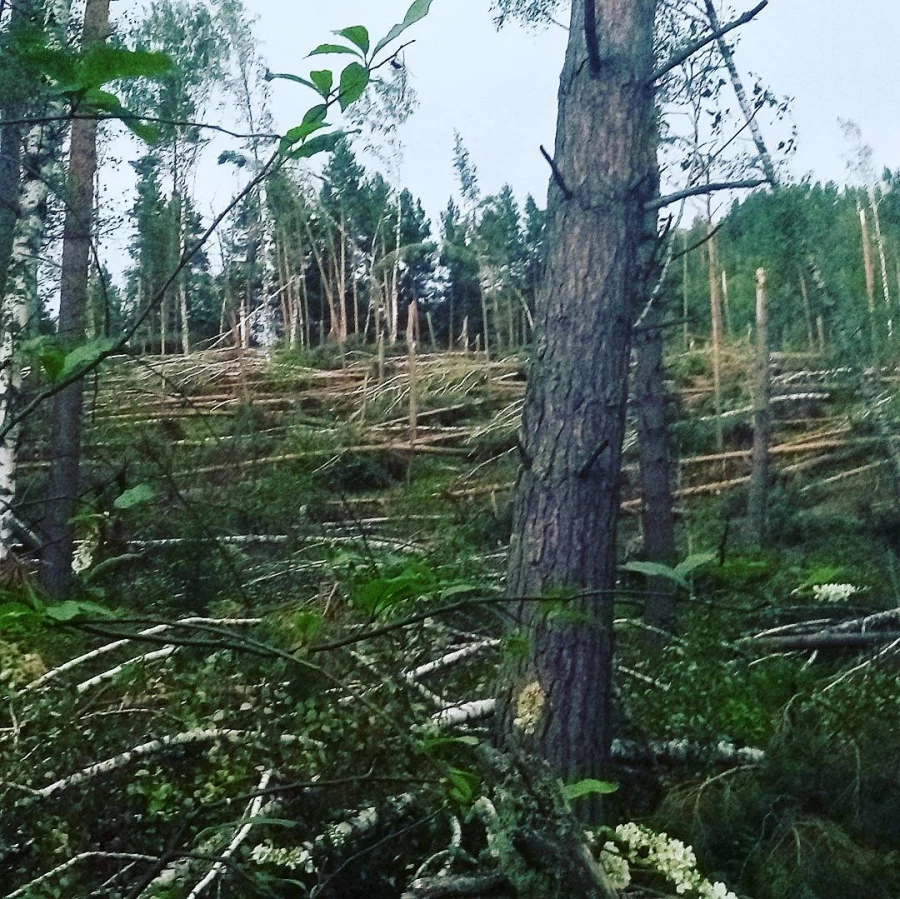 Последствия смерча на Бирюзовой Катуни.