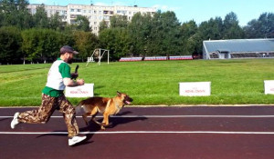 Соревнования по военно-спортивному многоборью прошли в Барнауле.