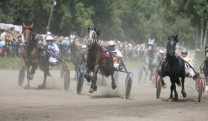 Конно-спортивные соревнования на "Барнаульском ипподроме". 6 августа 2016 года