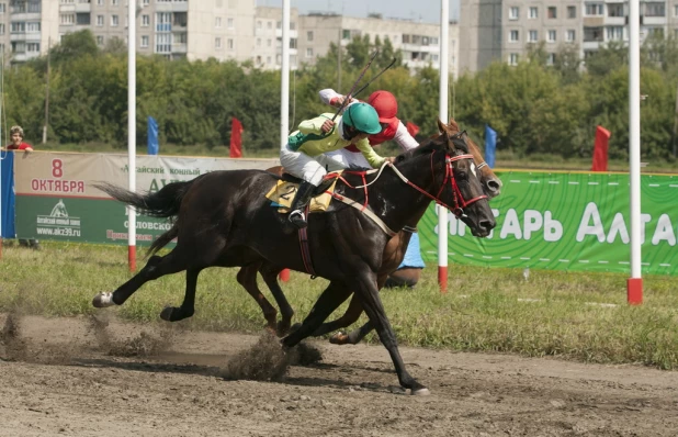 Конно-спортивные соревнования на "Барнаульском ипподроме". 6 августа 2016 года