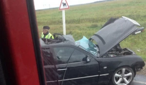 ДТП в Ребрихинском районе.