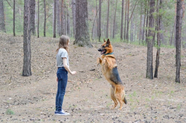 Участники фотоконкурса "Я и моя собака".