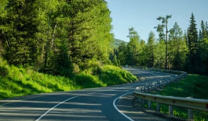 Дорога на Алтае.