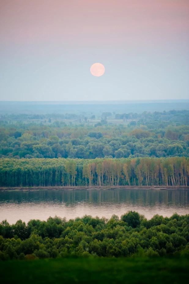 Летняя встреча предпринимателей-меценатов #займитесьсчастьем. Барнаул, 18 августа 2016 года.