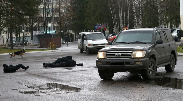 Полиция. Задержание.