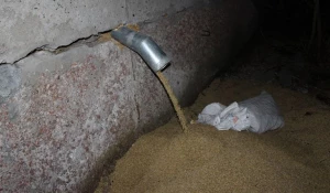 В Смоленском сельчанин украл со склада зерно.