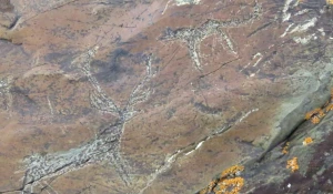 Петроглифы в Сайлюгеме.