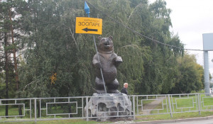Медведь в Индустриальном районе Барнаула.