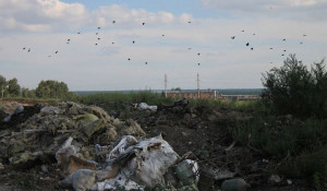 Жители села Черемное жалуются на ужасный запах от отходов.